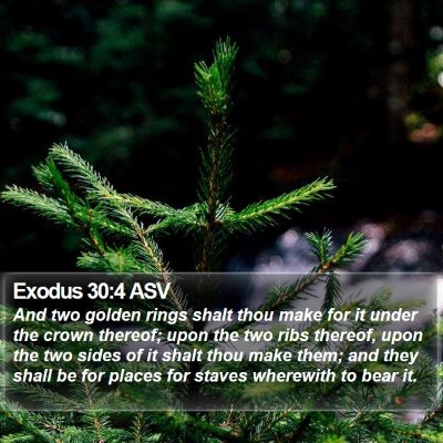 Exodus 30:4 ASV Bible Verse Image