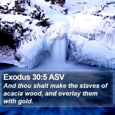 Exodus 30:5 ASV Bible Verse Image
