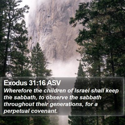 Exodus 31:16 ASV Bible Verse Image