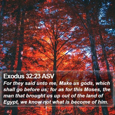 Exodus 32:23 ASV Bible Verse Image