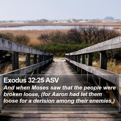 Exodus 32:25 ASV Bible Verse Image