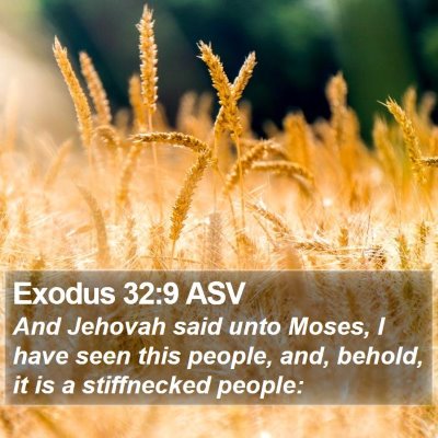 Exodus 32:9 ASV Bible Verse Image