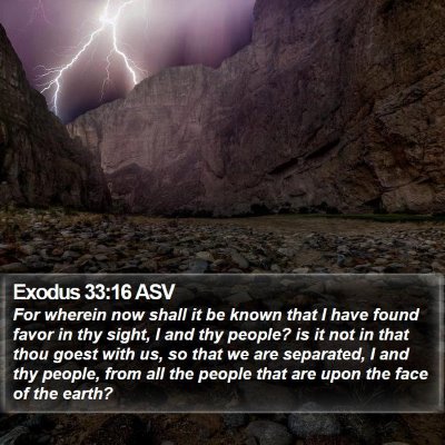 Exodus 33:16 ASV Bible Verse Image