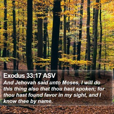 Exodus 33:17 ASV Bible Verse Image