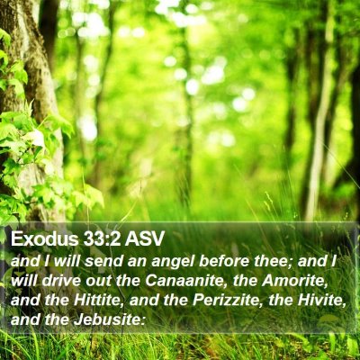 Exodus 33:2 ASV Bible Verse Image