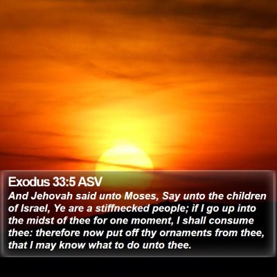 Exodus 33:5 ASV Bible Verse Image