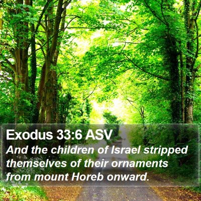 Exodus 33:6 ASV Bible Verse Image