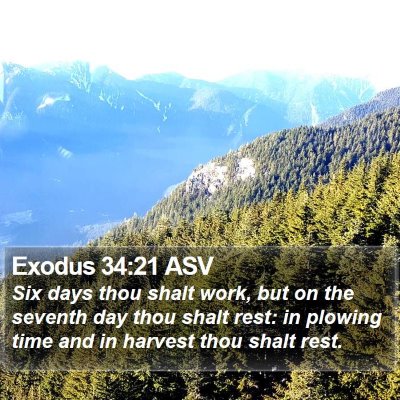 Exodus 34:21 ASV Bible Verse Image