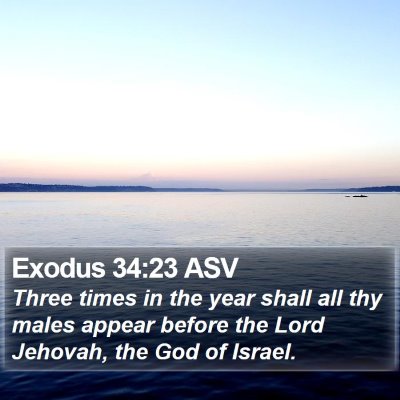 Exodus 34:23 ASV Bible Verse Image