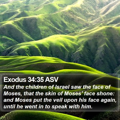 Exodus 34:35 ASV Bible Verse Image