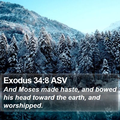 Exodus 34:8 ASV Bible Verse Image