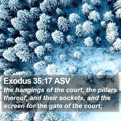 Exodus 35:17 ASV Bible Verse Image