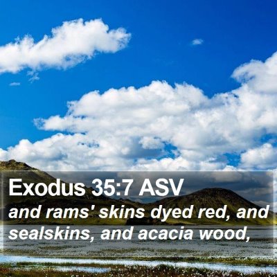 Exodus 35:7 ASV Bible Verse Image