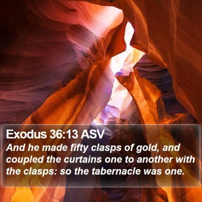 Exodus 36:13 ASV Bible Verse Image