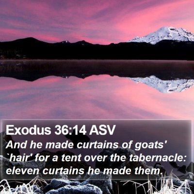 Exodus 36:14 ASV Bible Verse Image