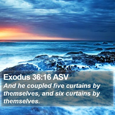 Exodus 36:16 ASV Bible Verse Image