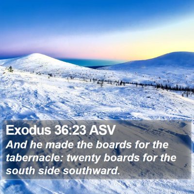 Exodus 36:23 ASV Bible Verse Image