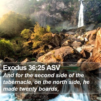 Exodus 36:25 ASV Bible Verse Image