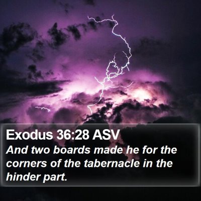 Exodus 36:28 ASV Bible Verse Image