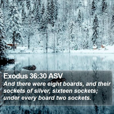 Exodus 36:30 ASV Bible Verse Image
