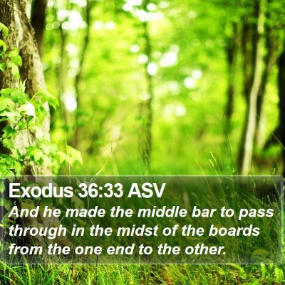 Exodus 36:33 ASV Bible Verse Image