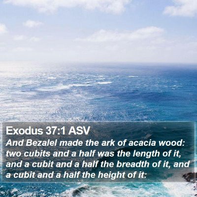 Exodus 37:1 ASV Bible Verse Image