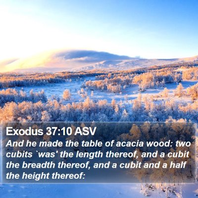 Exodus 37:10 ASV Bible Verse Image