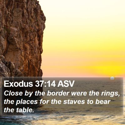 Exodus 37:14 ASV Bible Verse Image