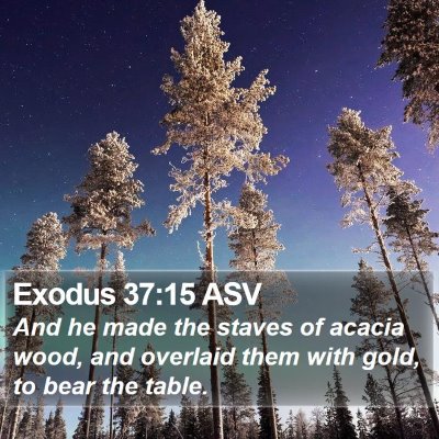 Exodus 37:15 ASV Bible Verse Image