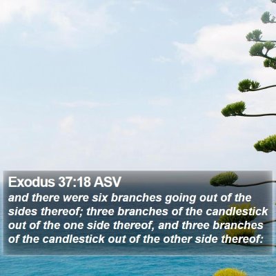 Exodus 37:18 ASV Bible Verse Image