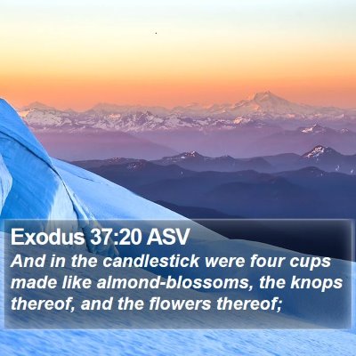Exodus 37:20 ASV Bible Verse Image