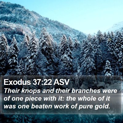 Exodus 37:22 ASV Bible Verse Image