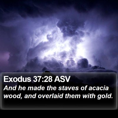 Exodus 37:28 ASV Bible Verse Image