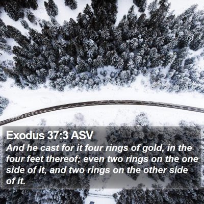 Exodus 37:3 ASV Bible Verse Image