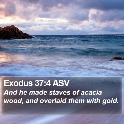 Exodus 37:4 ASV Bible Verse Image