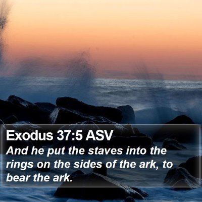 Exodus 37:5 ASV Bible Verse Image