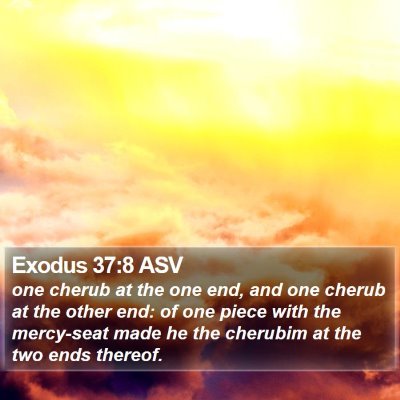 Exodus 37:8 ASV Bible Verse Image