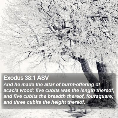 Exodus 38:1 ASV Bible Verse Image