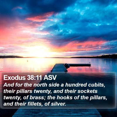 Exodus 38:11 ASV Bible Verse Image