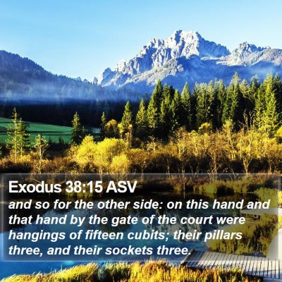 Exodus 38:15 ASV Bible Verse Image