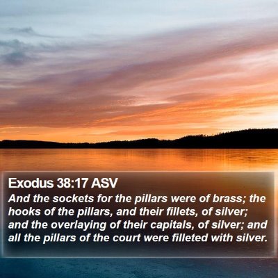 Exodus 38:17 ASV Bible Verse Image