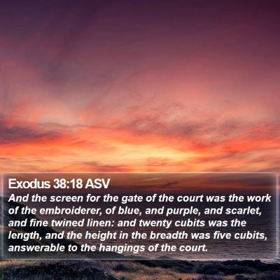 Exodus 38:18 ASV Bible Verse Image