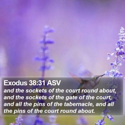 Exodus 38:31 ASV Bible Verse Image