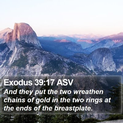 Exodus 39:17 ASV Bible Verse Image