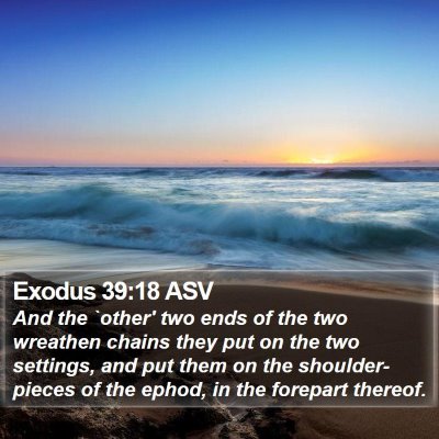 Exodus 39:18 ASV Bible Verse Image