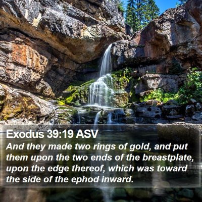 Exodus 39:19 ASV Bible Verse Image