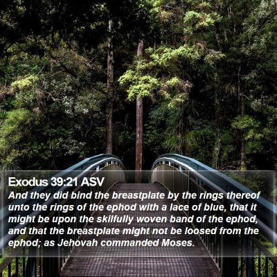 Exodus 39:21 ASV Bible Verse Image