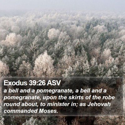 Exodus 39:26 ASV Bible Verse Image