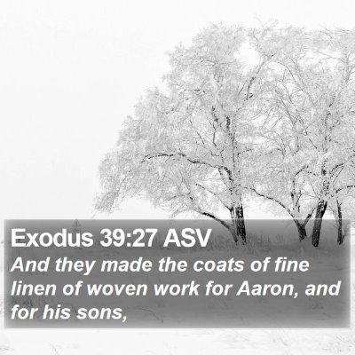 Exodus 39:27 ASV Bible Verse Image