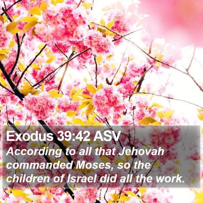 Exodus 39:42 ASV Bible Verse Image